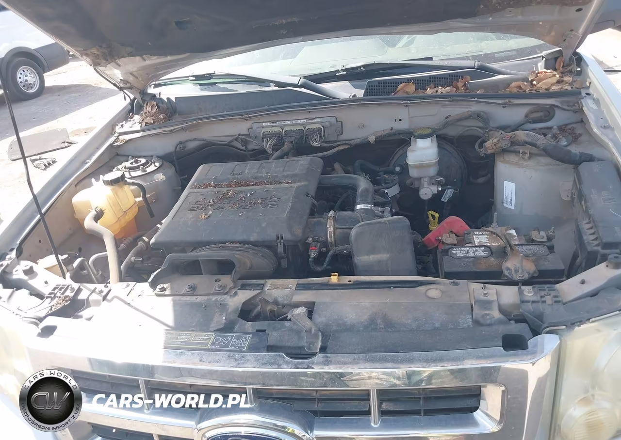 2009 Ford Escape Xlt VIN:1FMCU03G99KA65064 - 10