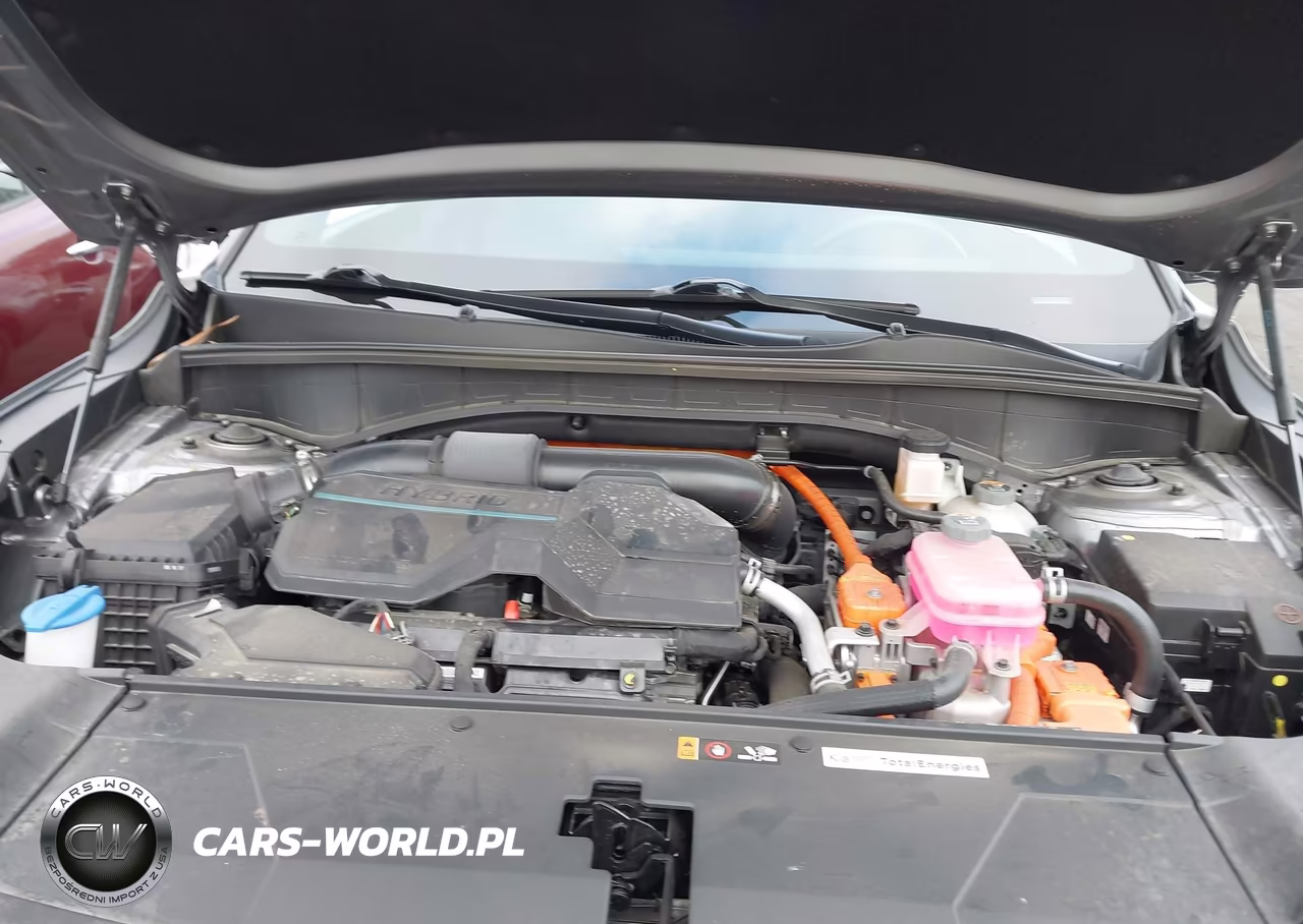 2025 Kia Sorento Hybrid Sx Prestige VIN:KNDRKDJGXS5352254 - 10