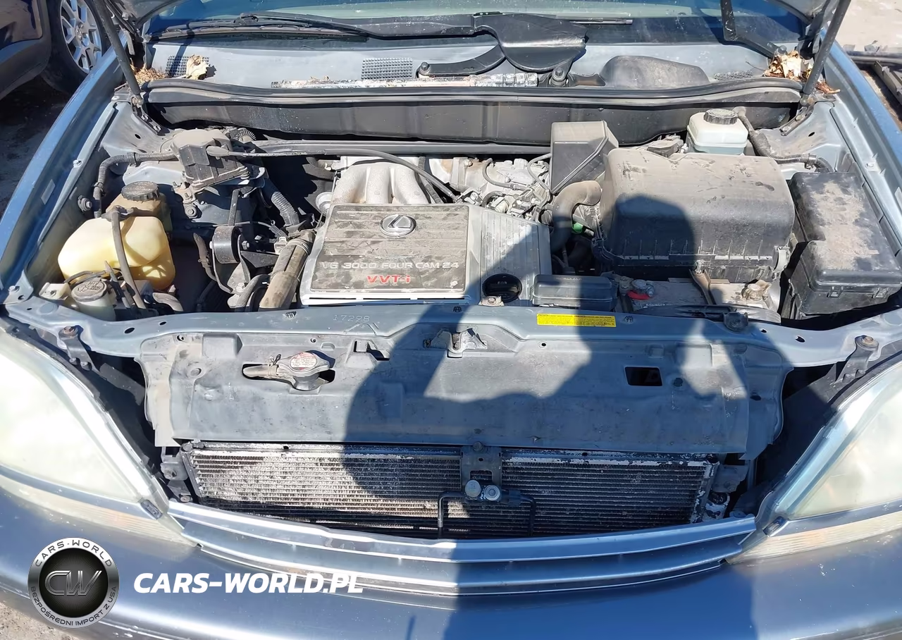 2002 Lexus Rx 300 VIN:JTJGF10U420142731 - 10