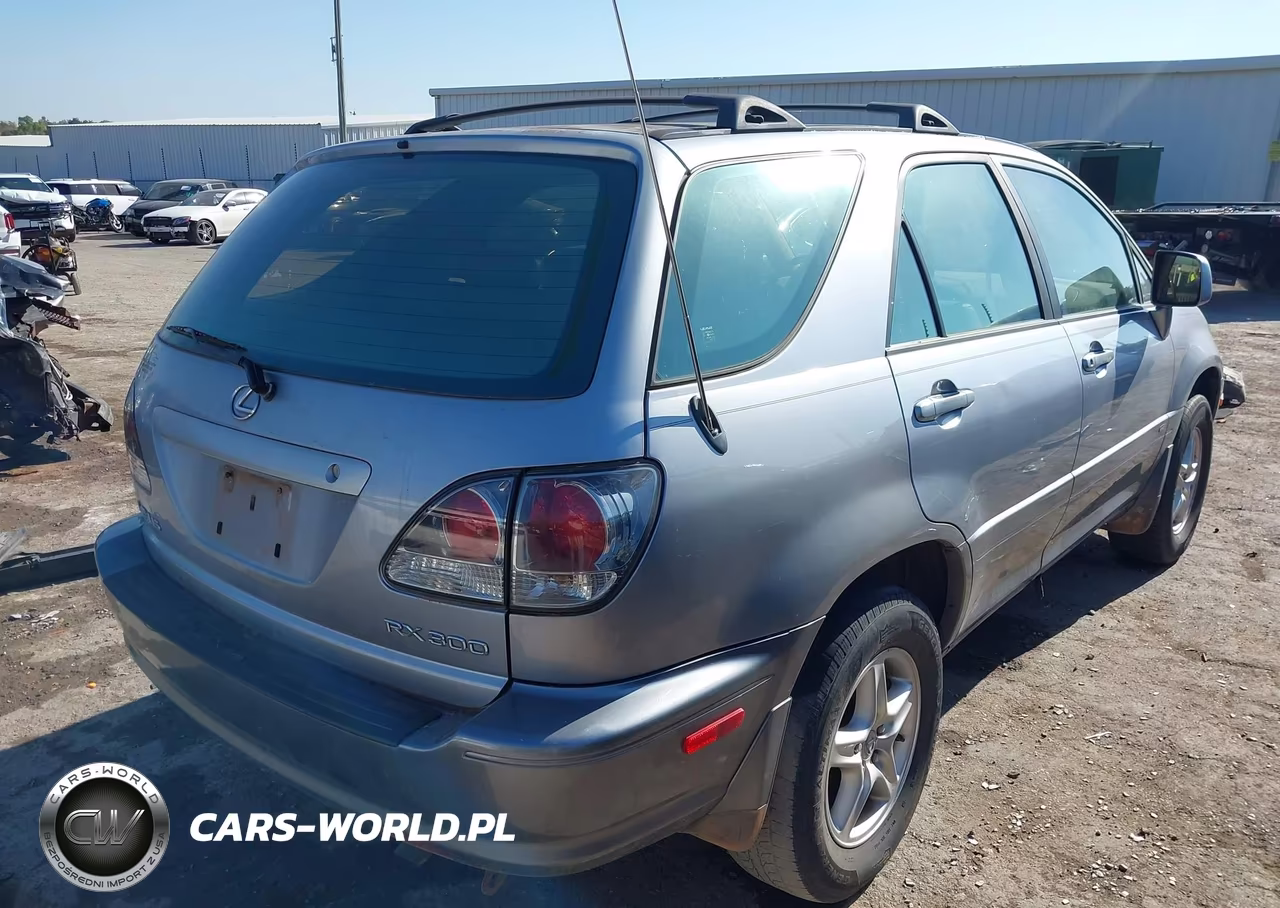 2002 Lexus Rx 300 VIN:JTJGF10U420142731 - 4