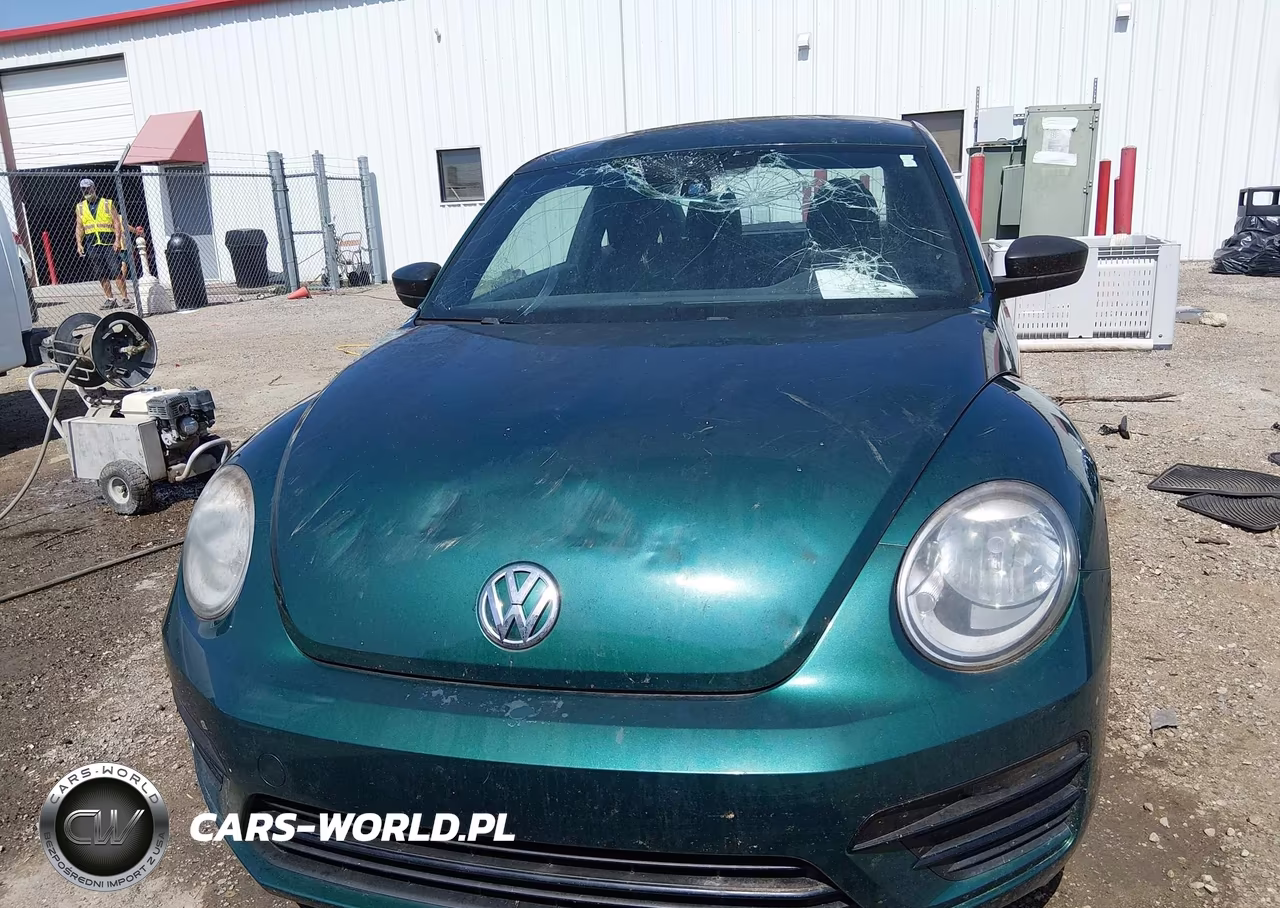 2017 Volkswagen Beetle #Pinkbeetle-1.8T Classic-1.8T S VIN:3VWF17AT0HM612424 - 12