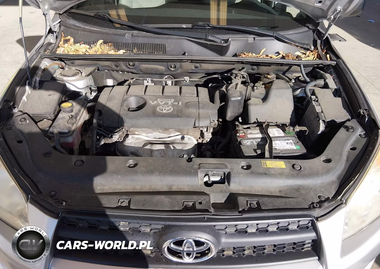 2009 Toyota Rav4 VIN:JTMBF33V89D007428 - 10