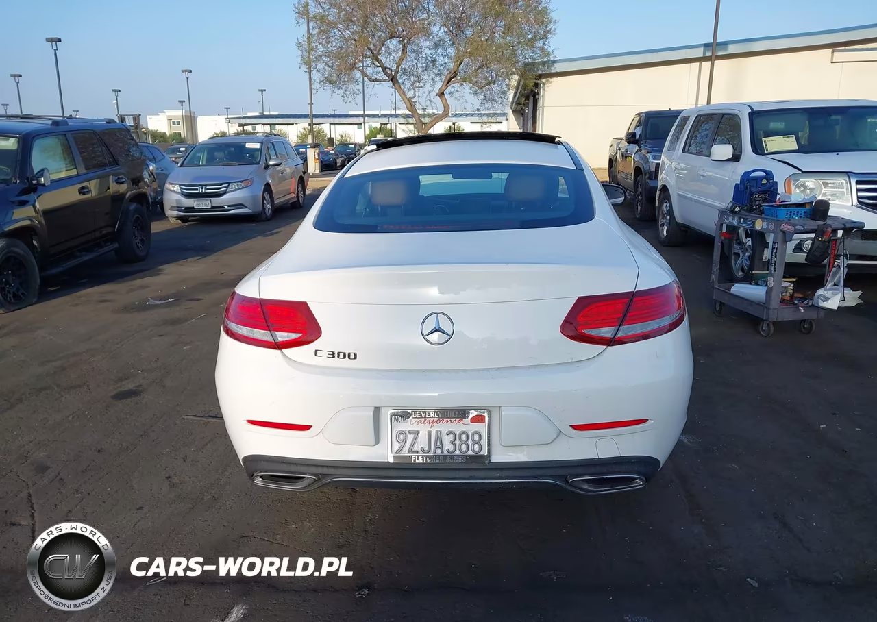 2018 Mercedes-Benz C 300 VIN:WDDWJ4JB3JF646040 - 16