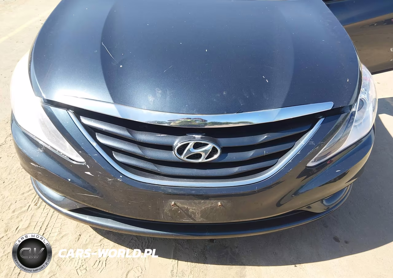 2013 Hyundai Sonata Gls VIN:5NPEB4AC4DH706316 - 6