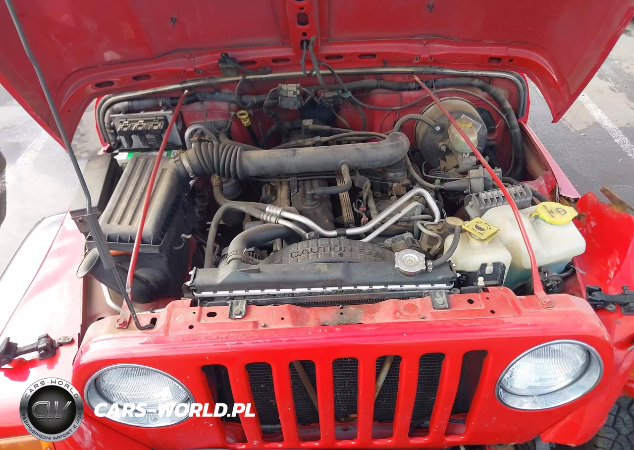 2004 Jeep Wrangler X VIN:1J4FA39S64P726658 - 10