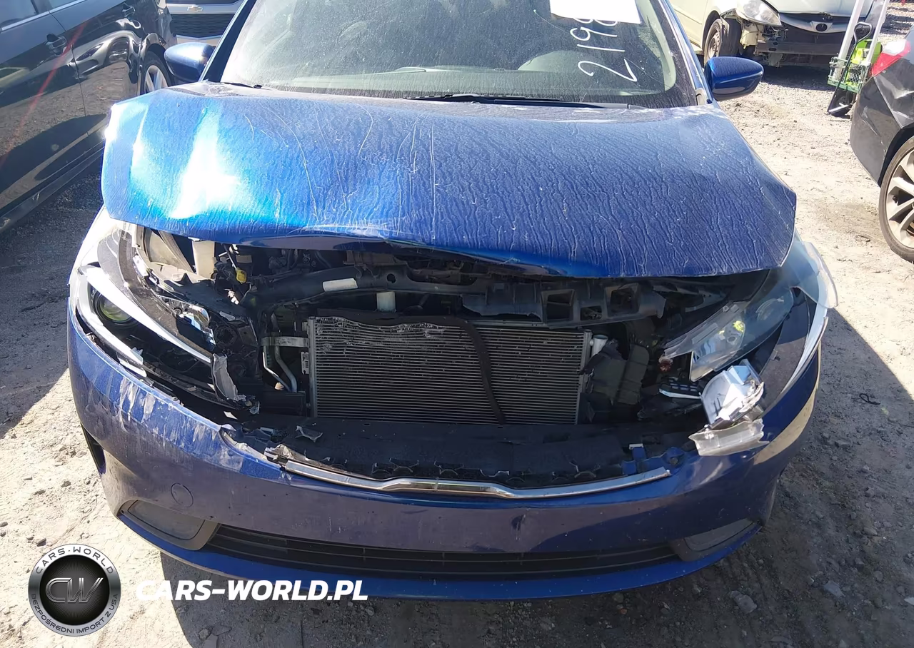 2018 Kia Forte Lx VIN:3KPFK4A75JE219830 - 6