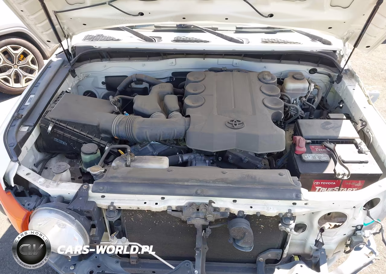 2010 Toyota Fj Cruiser VIN:JTEZU4BF1AK010655 - 10