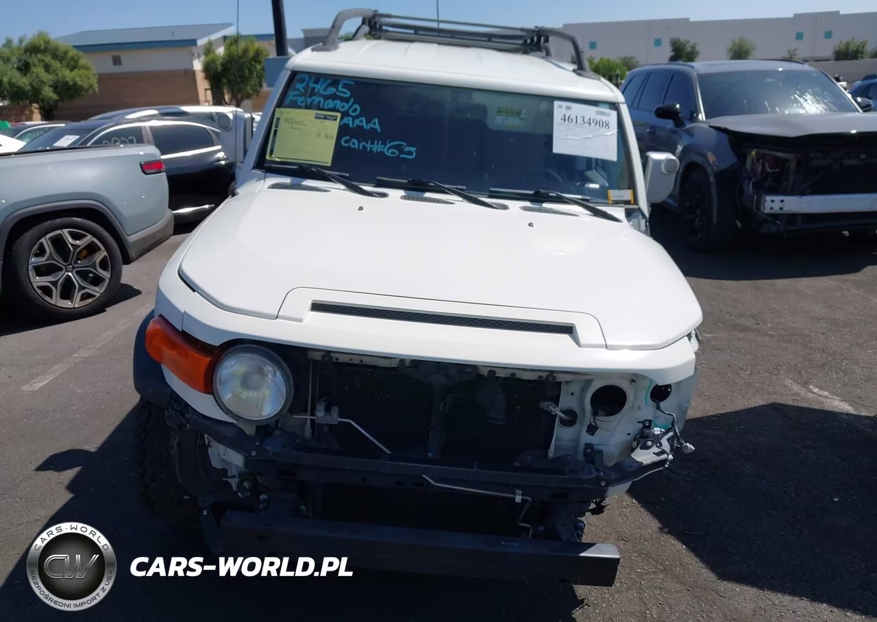 2010 Toyota Fj Cruiser VIN:JTEZU4BF1AK010655 - 13