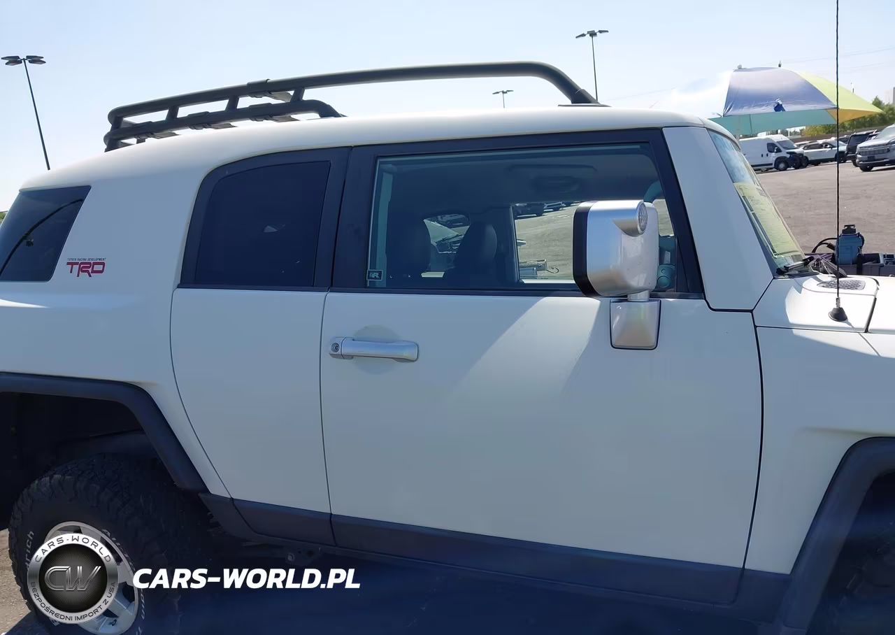 2010 Toyota Fj Cruiser VIN:JTEZU4BF1AK010655 - 14
