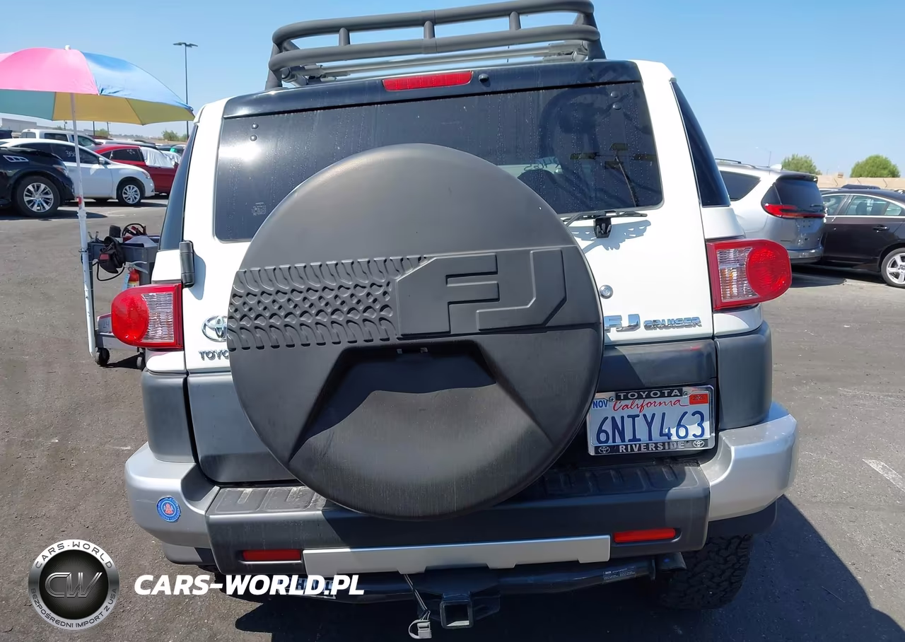 2010 Toyota Fj Cruiser VIN:JTEZU4BF1AK010655 - 17