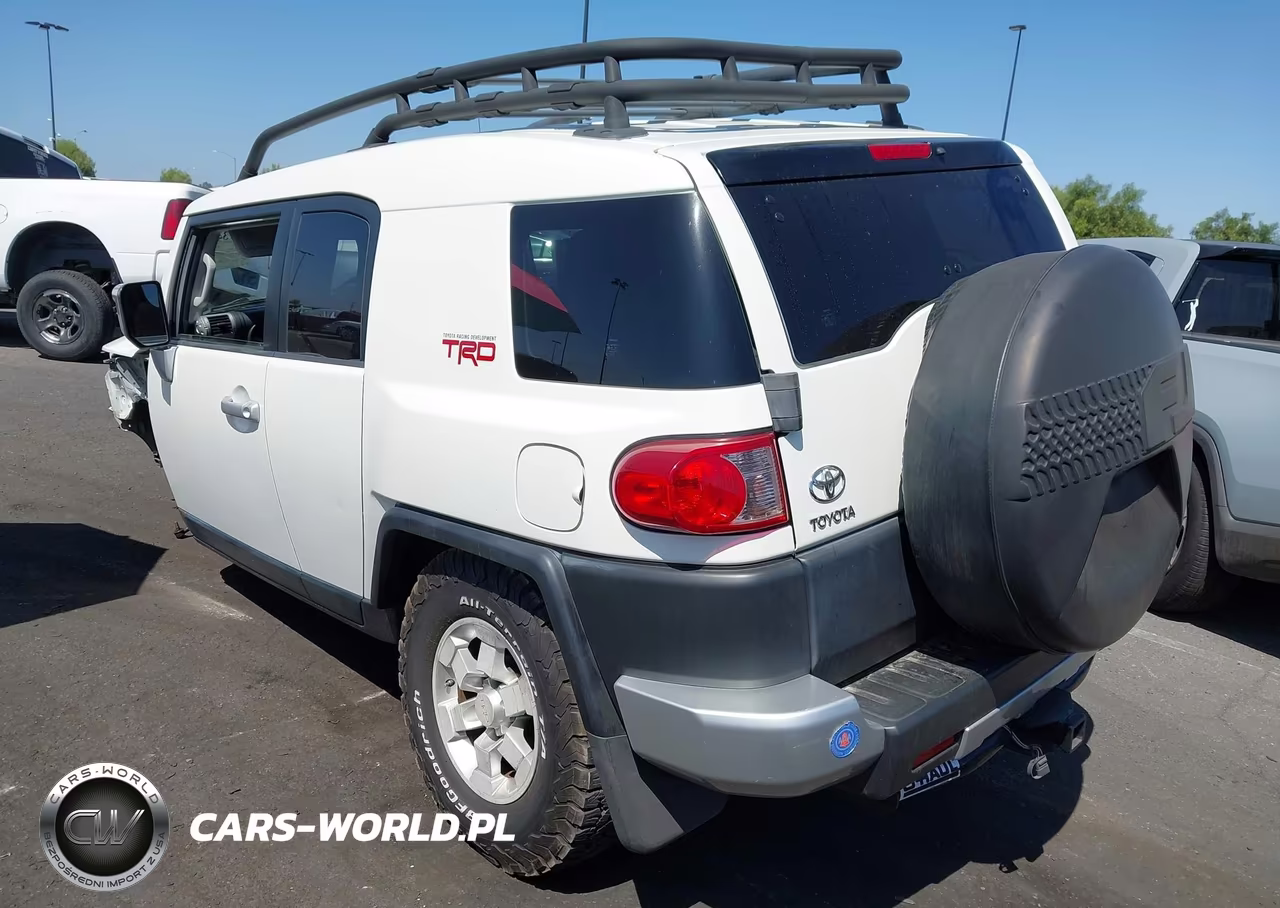 2010 Toyota Fj Cruiser VIN:JTEZU4BF1AK010655 - 3