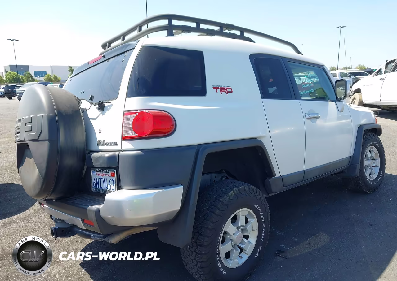 2010 Toyota Fj Cruiser VIN:JTEZU4BF1AK010655 - 4