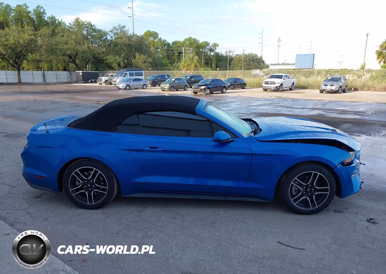 2021 Ford Mustang VIN:1FATP8UH5M5107602 - 13