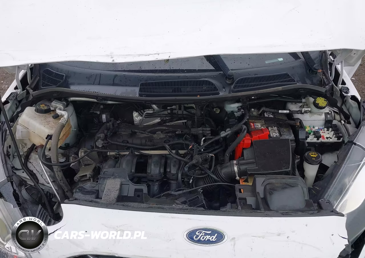 2016 Ford Fiesta Se VIN:3FADP4BJ4GM203562 - 10