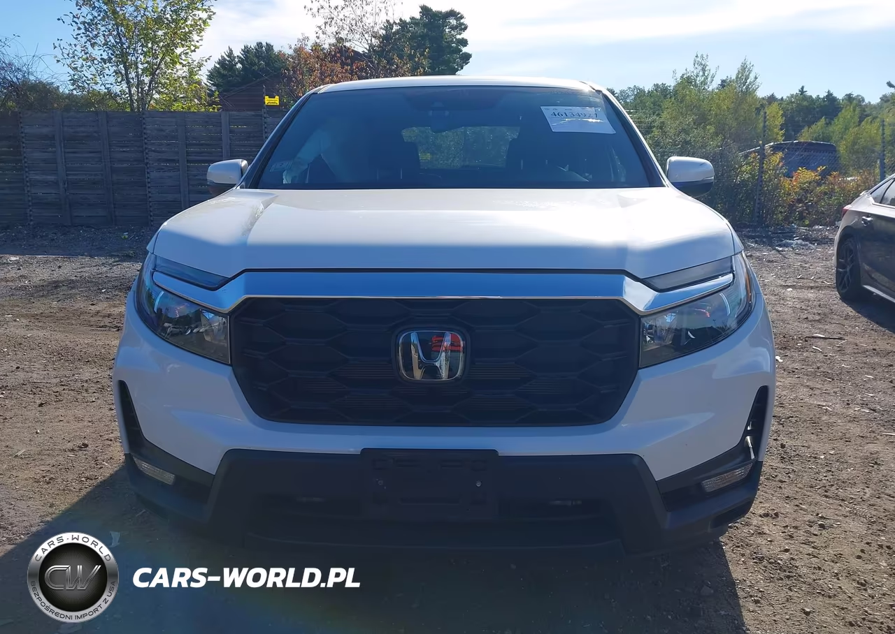 2024 Honda Passport Awd Ex-L VIN:5FNYF8H51RB004394 - 12