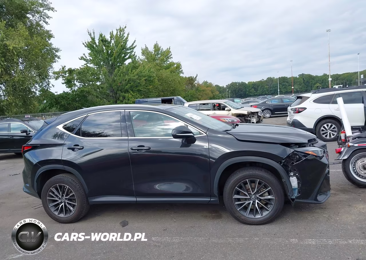 2022 Lexus Nx 350H Premium VIN:2T2GKCEZ1NC002642 - 13