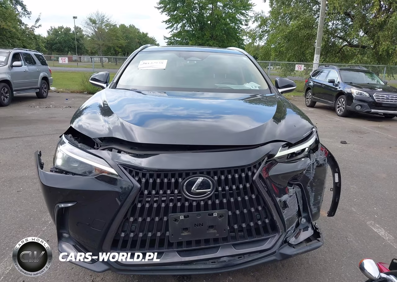 2022 Lexus Nx 350H Premium VIN:2T2GKCEZ1NC002642 - 6
