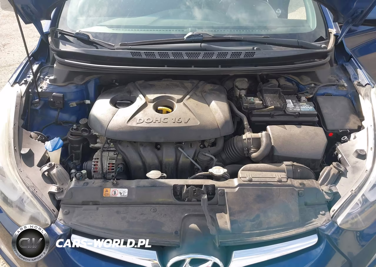 2015 Hyundai Elantra Se VIN:5NPDH4AE5FH617613 - 10