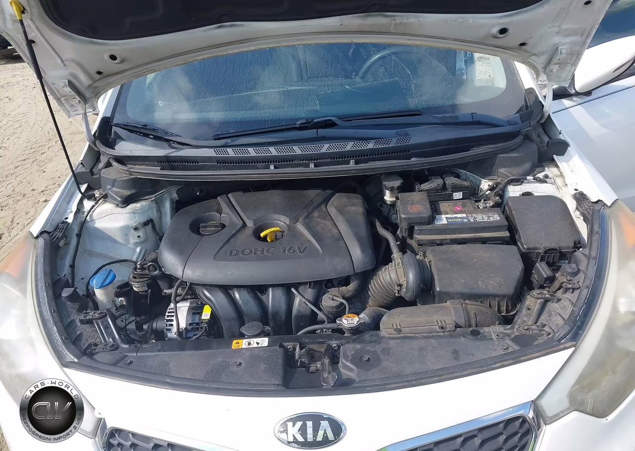 2014 Kia Forte Lx VIN:KNAFX4A6XE5200925 - 10