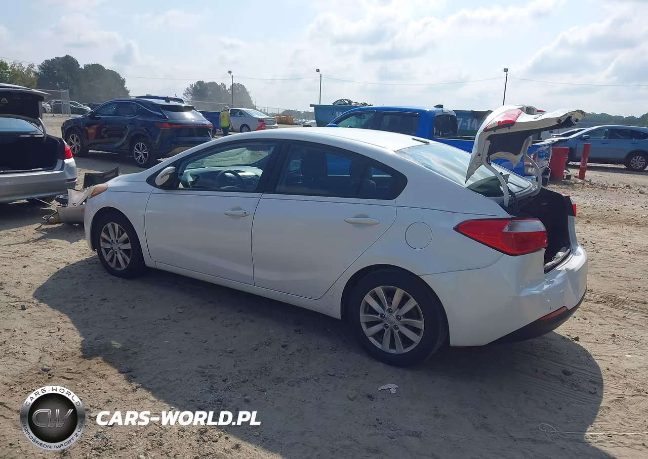 2014 Kia Forte Lx VIN:KNAFX4A6XE5200925 - 3