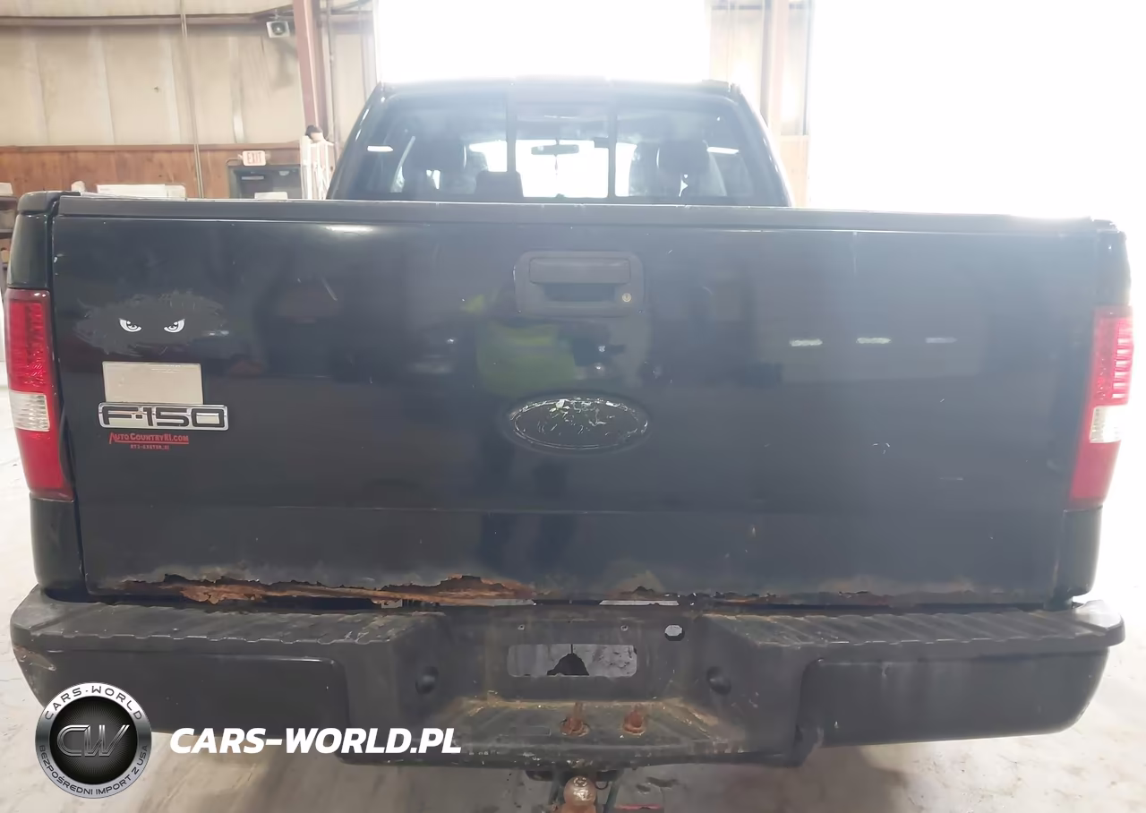 2006 Ford F-150 Stx-Xl-Xlt VIN:1FTRX14W96NB17241 - 12