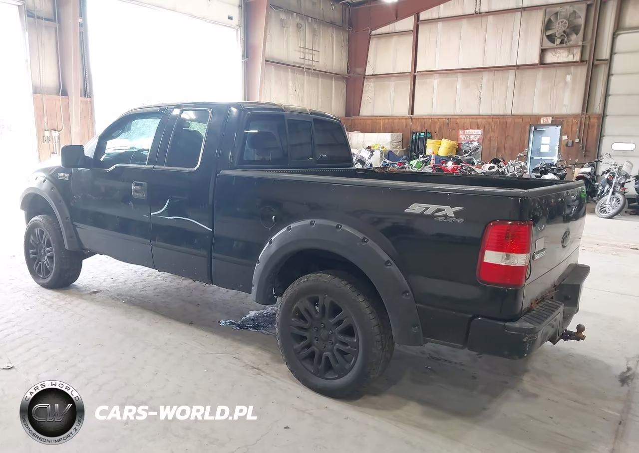2006 Ford F-150 Stx-Xl-Xlt VIN:1FTRX14W96NB17241 - 3