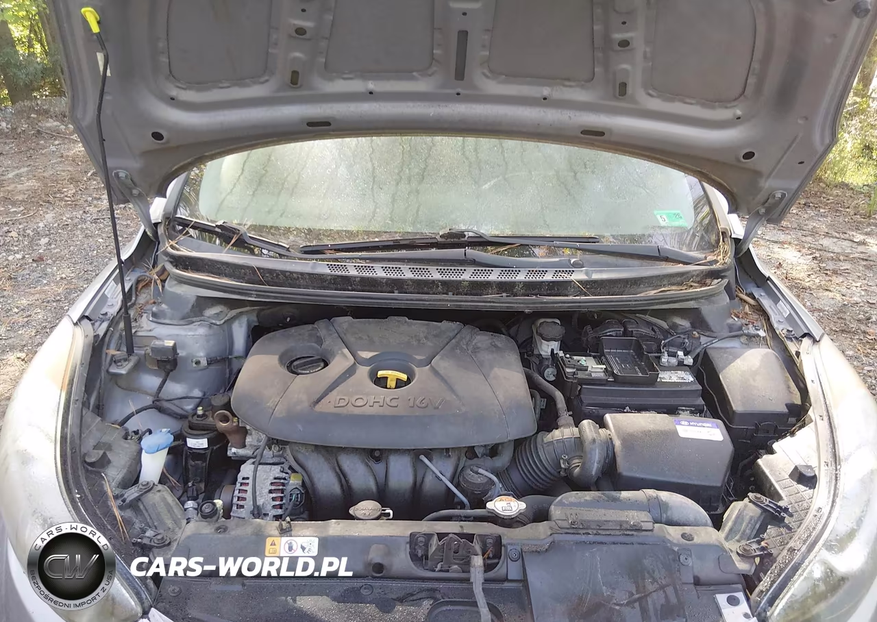 2013 Hyundai Elantra Gls VIN:KMHDH4AE5DU804624 - 10