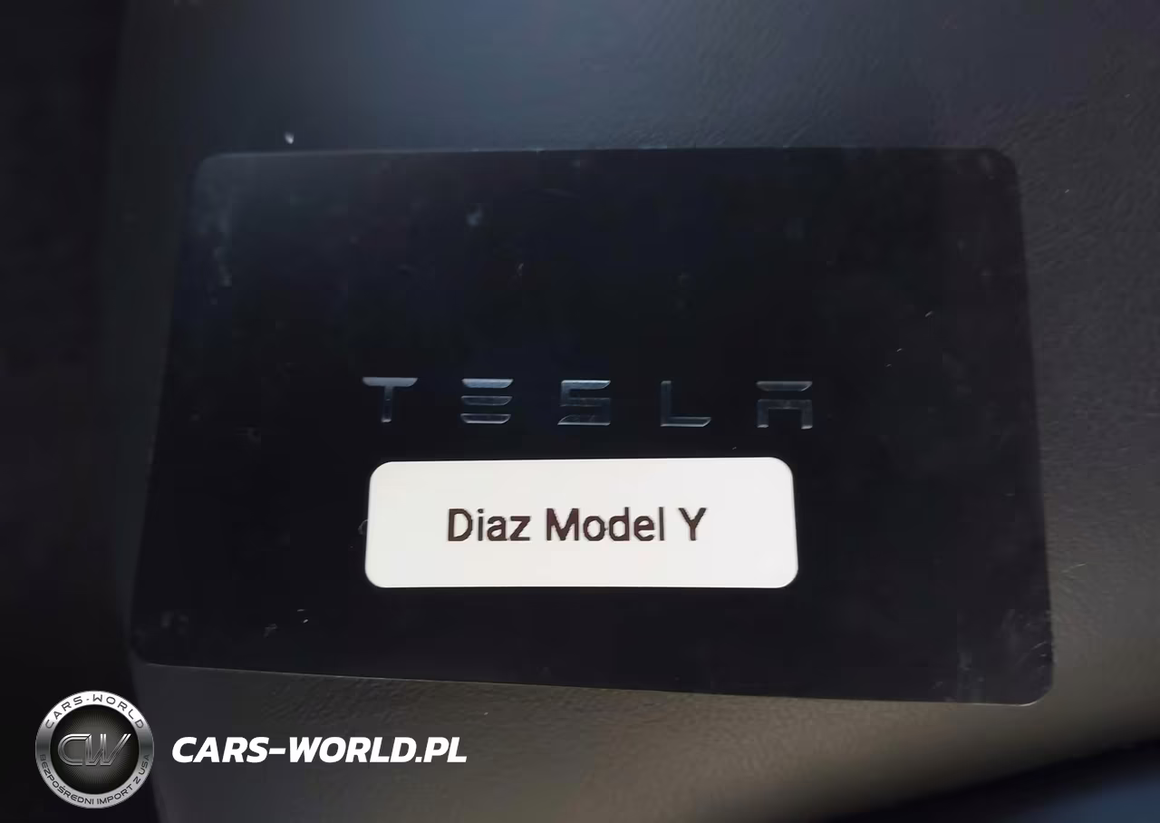 2025 Tesla Model Y Long Range Dual Motor Rear-Wheel Drive VIN:7SAYGDED2SA375359 - 10