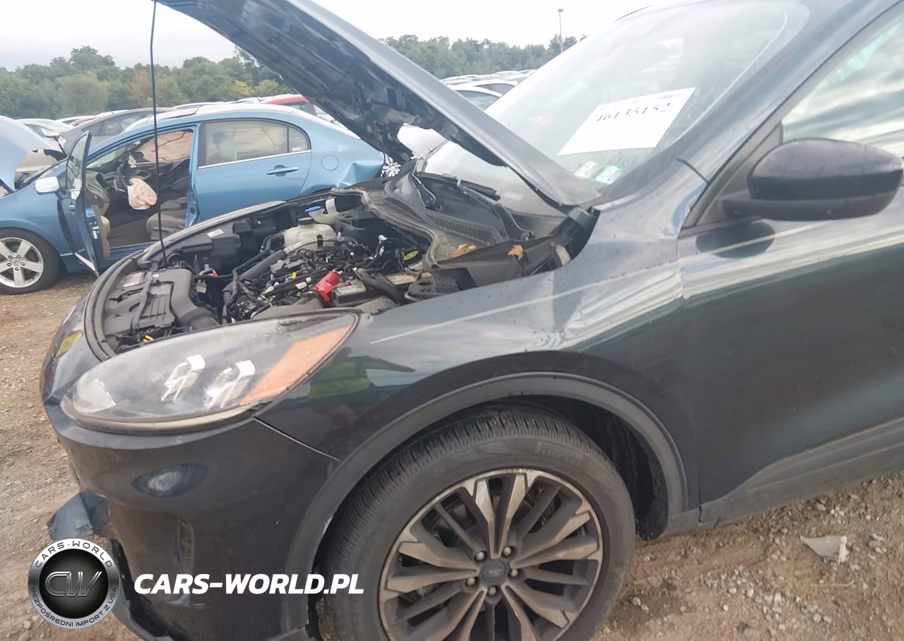 2022 Ford Escape Se VIN:1FMCU9G65NUB64775 - 6