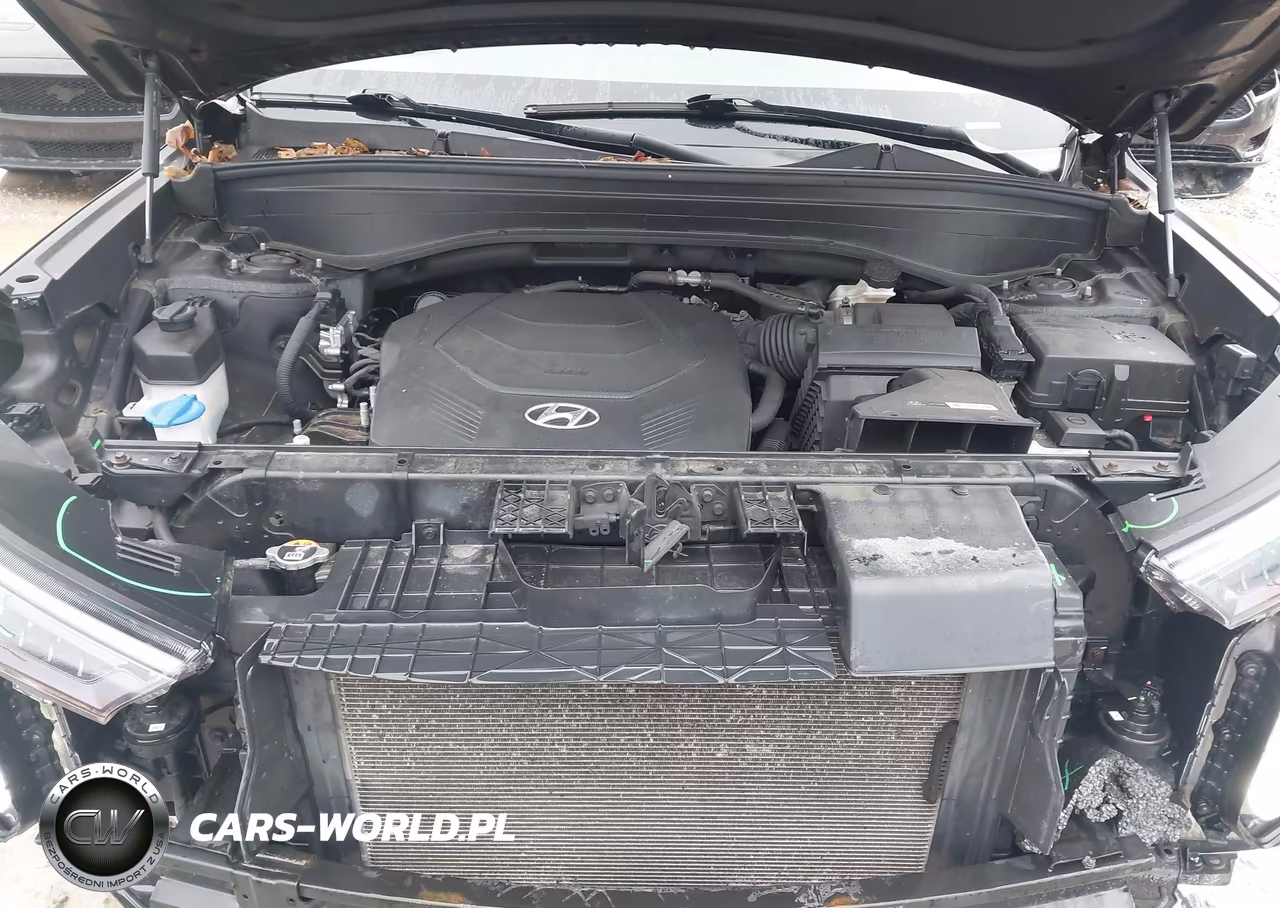 2020 Hyundai Palisade Sel VIN:KM8R3DHE3LU146780 - 10