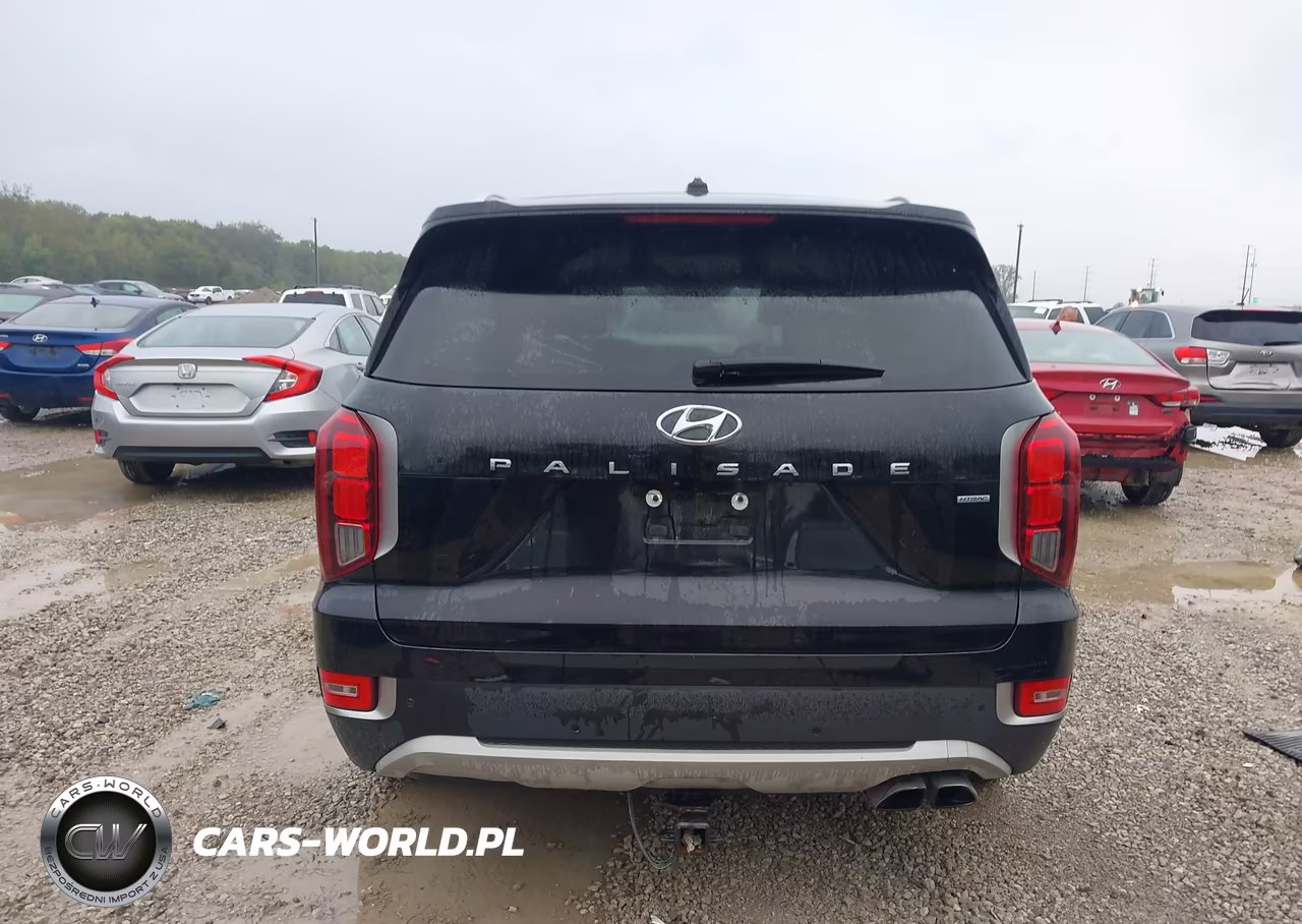 2020 Hyundai Palisade Sel VIN:KM8R3DHE3LU146780 - 17