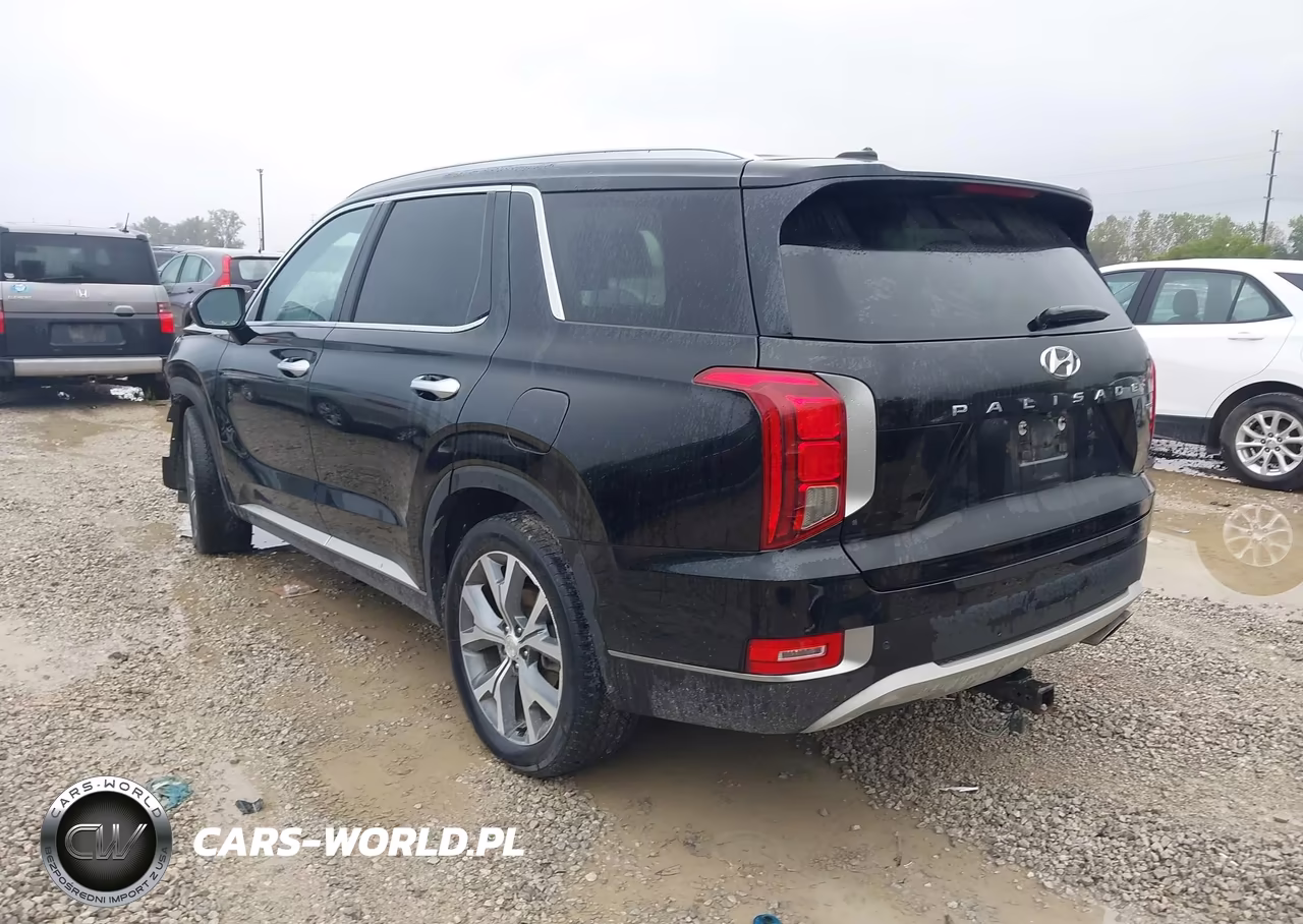 2020 Hyundai Palisade Sel VIN:KM8R3DHE3LU146780 - 3