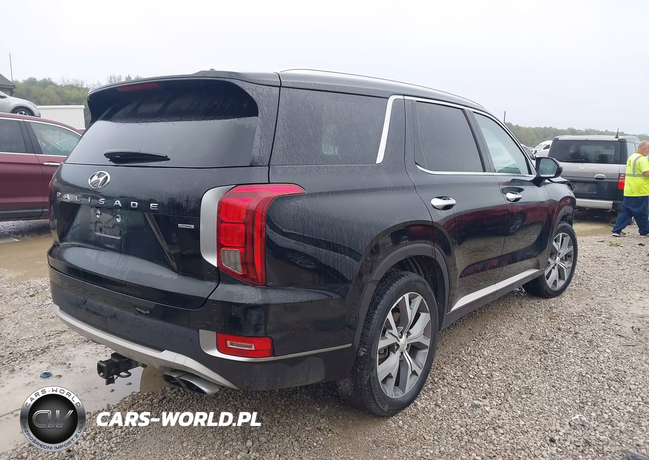 2020 Hyundai Palisade Sel VIN:KM8R3DHE3LU146780 - 4