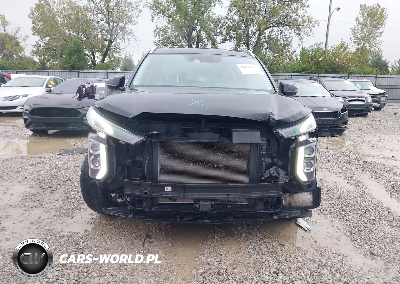 2020 Hyundai Palisade Sel VIN:KM8R3DHE3LU146780 - 6
