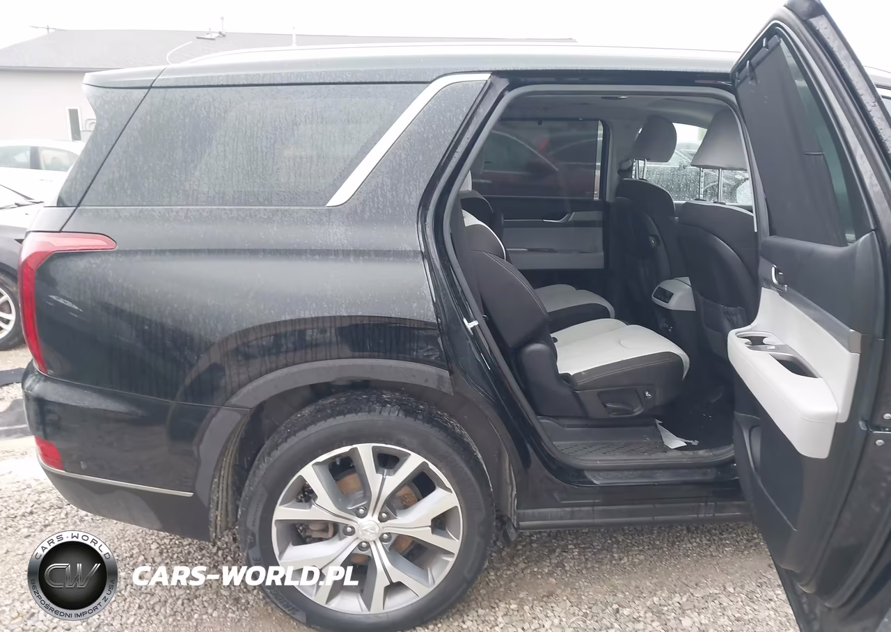 2020 Hyundai Palisade Sel VIN:KM8R3DHE3LU146780 - 8