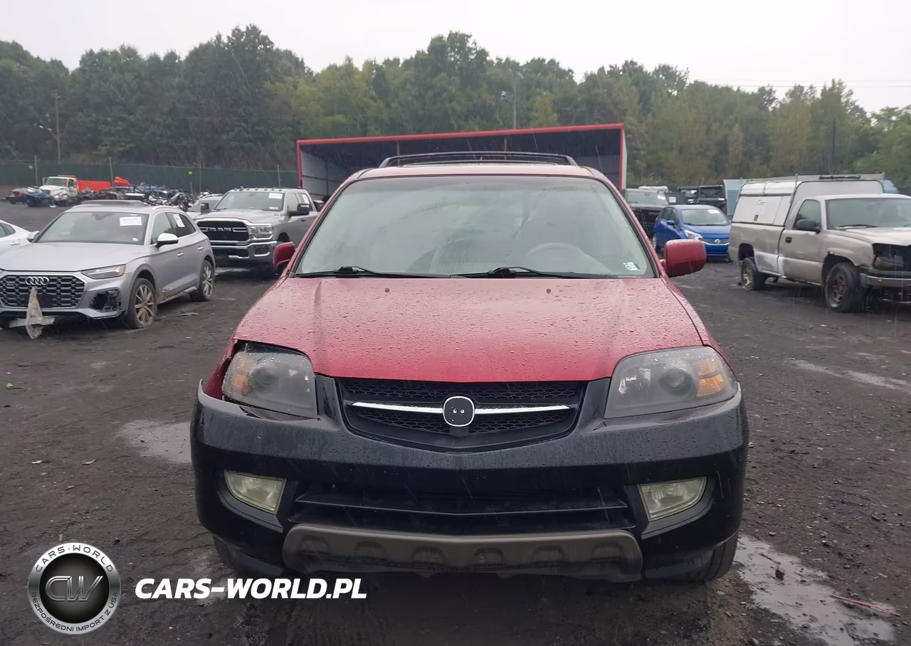 2004 Acura Mdx VIN:2HNYD186X4H542496 - 12