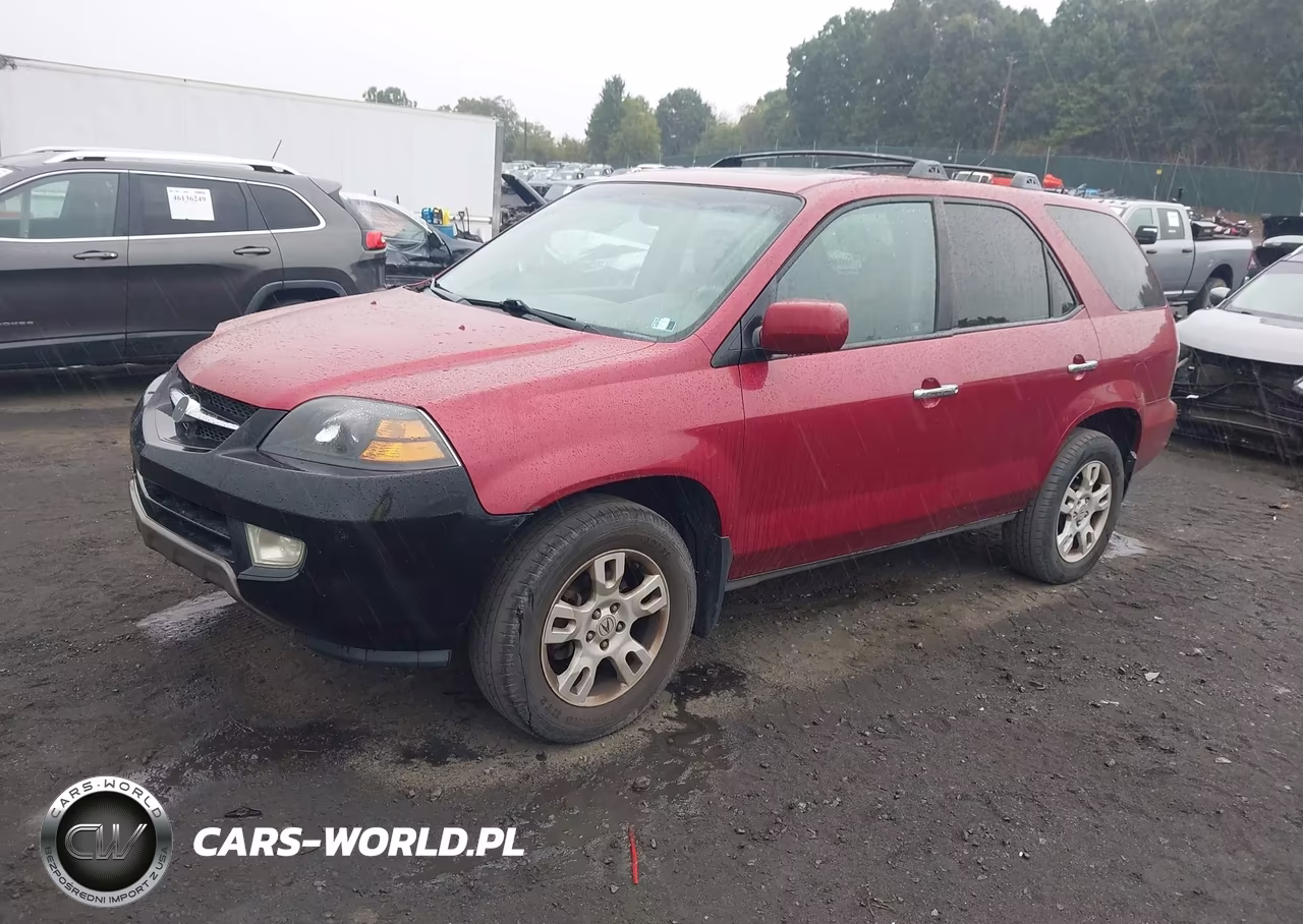 2004 Acura Mdx VIN:2HNYD186X4H542496 - 2