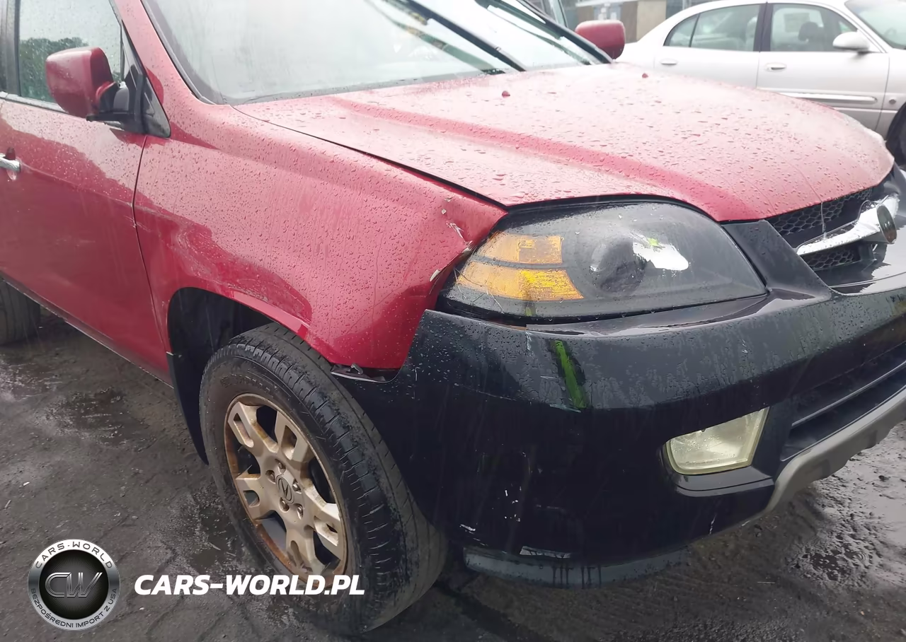 2004 Acura Mdx VIN:2HNYD186X4H542496 - 6