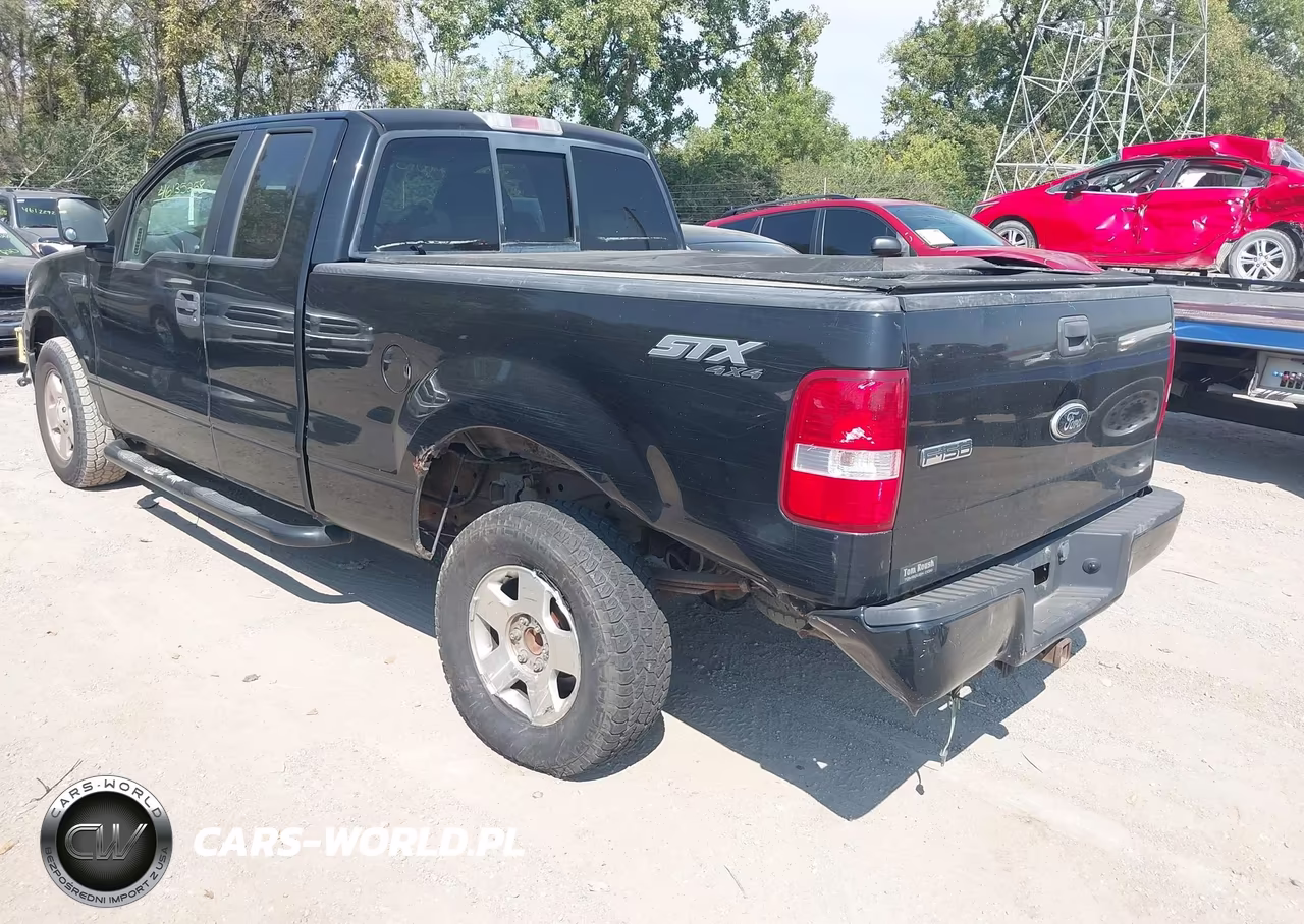 2006 Ford F-150 Stx-Xl-Xlt VIN:1FTRX14W46NB59364 - 3