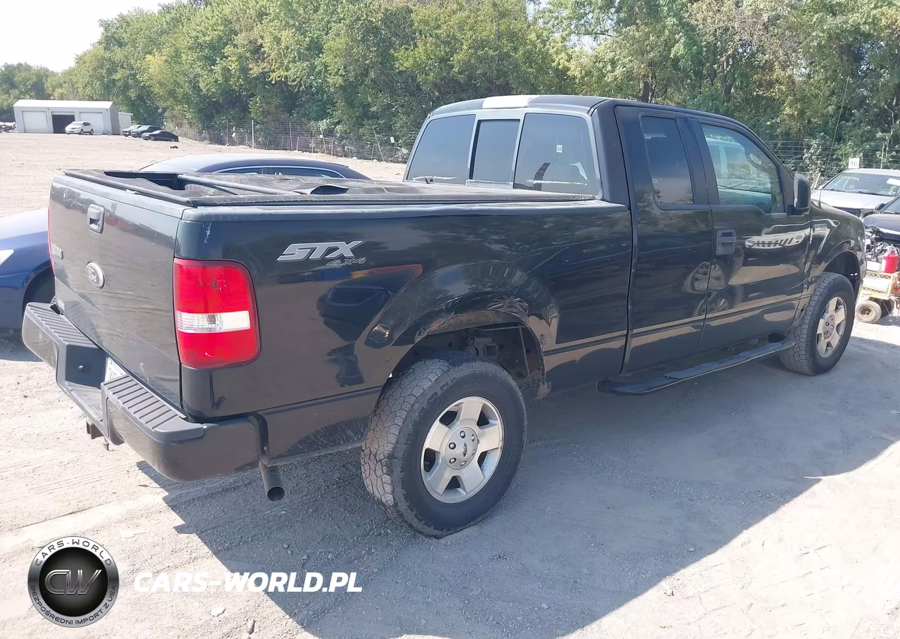 2006 Ford F-150 Stx-Xl-Xlt VIN:1FTRX14W46NB59364 - 4