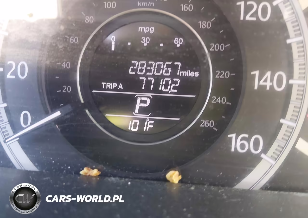 2013 Honda Accord Ex-L VIN:1HGCR2F87DA044039 - 15