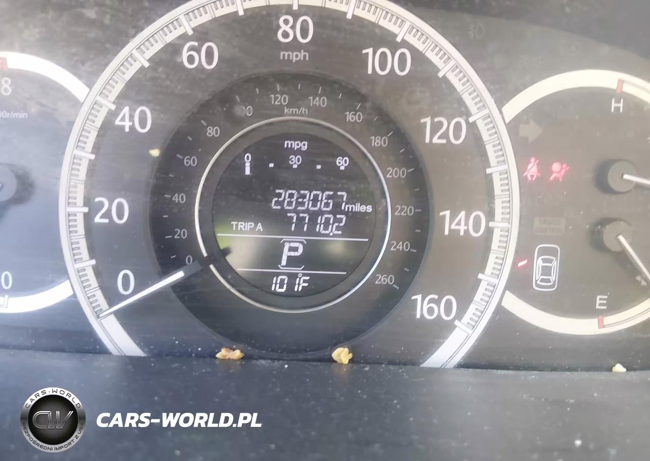 2013 Honda Accord Ex-L VIN:1HGCR2F87DA044039 - 7