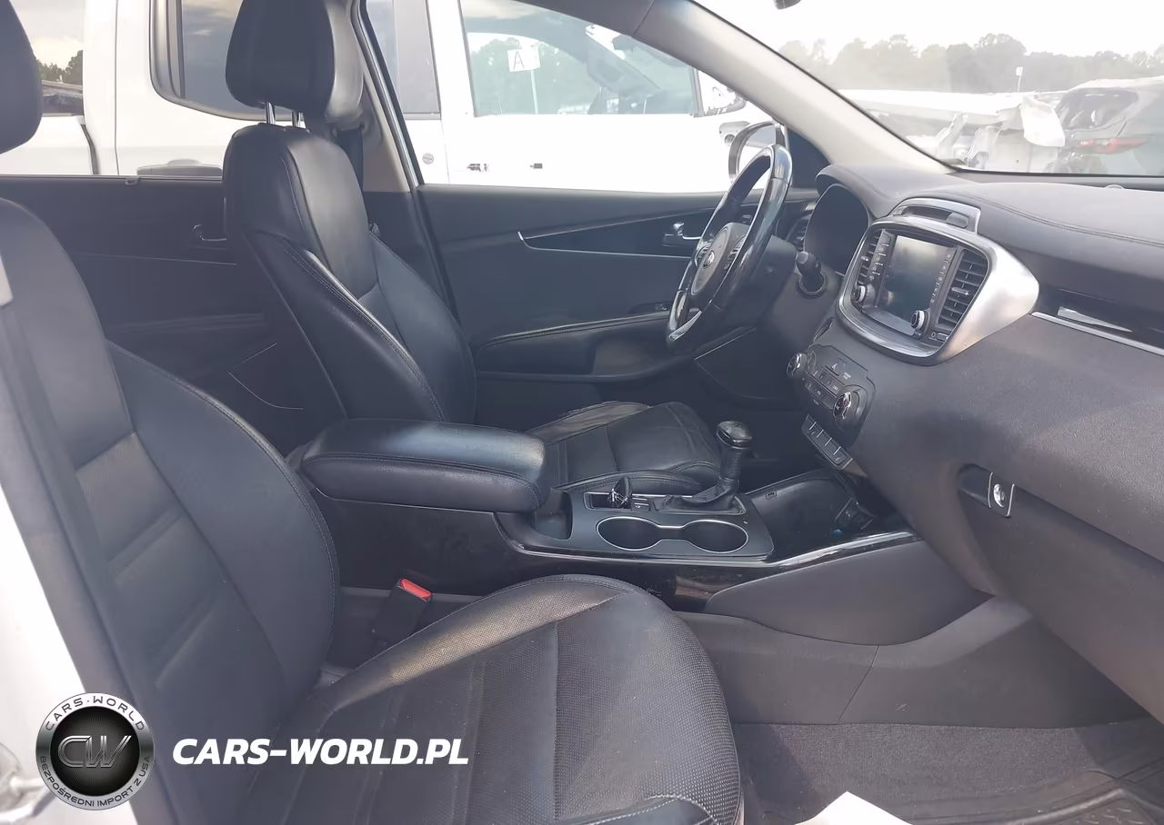 2016 Kia Sorento 3.3L Sx VIN:5XYPK4A59GG109216 - 5