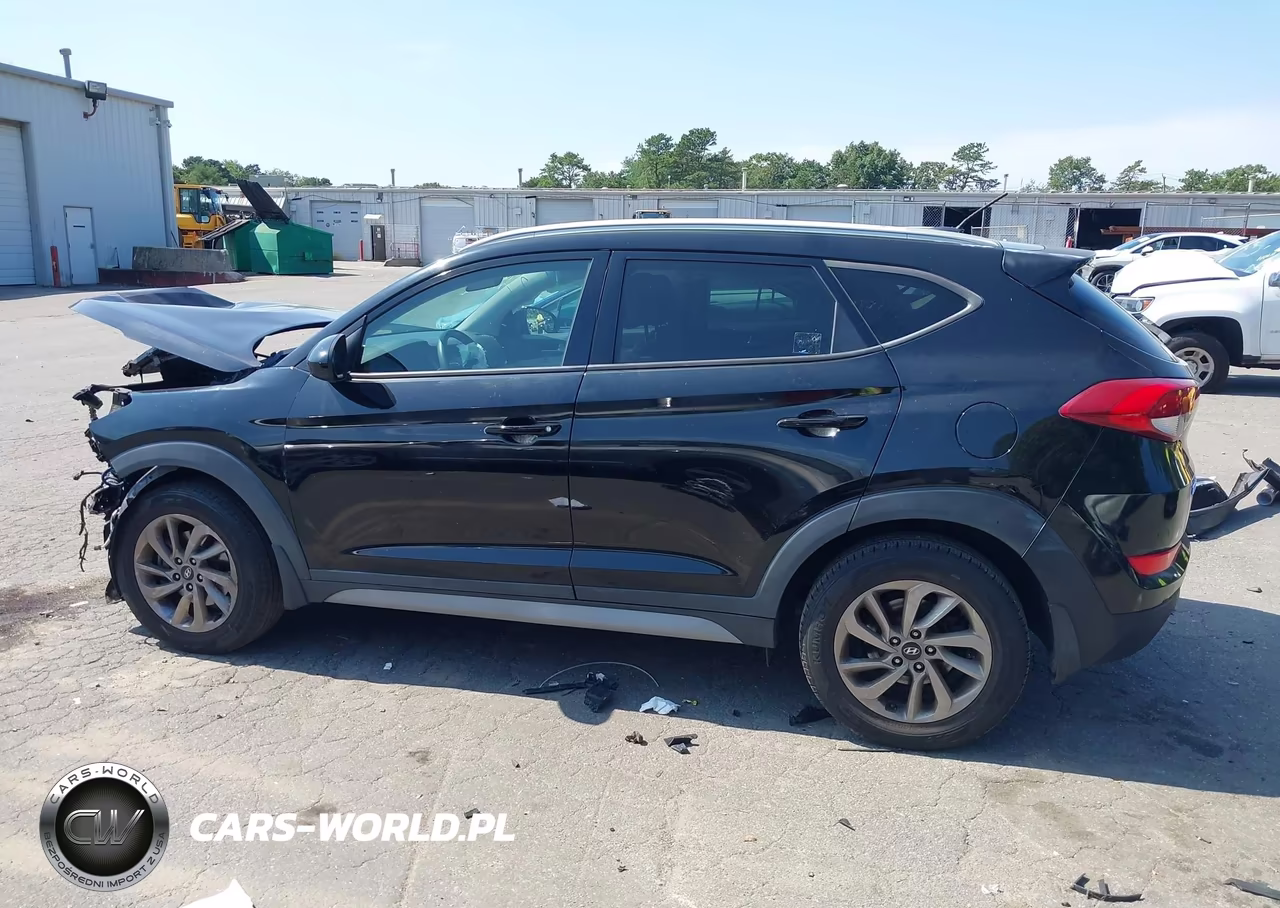 2017 Hyundai Tucson Se VIN:KM8J3CA41HU544702 - 15