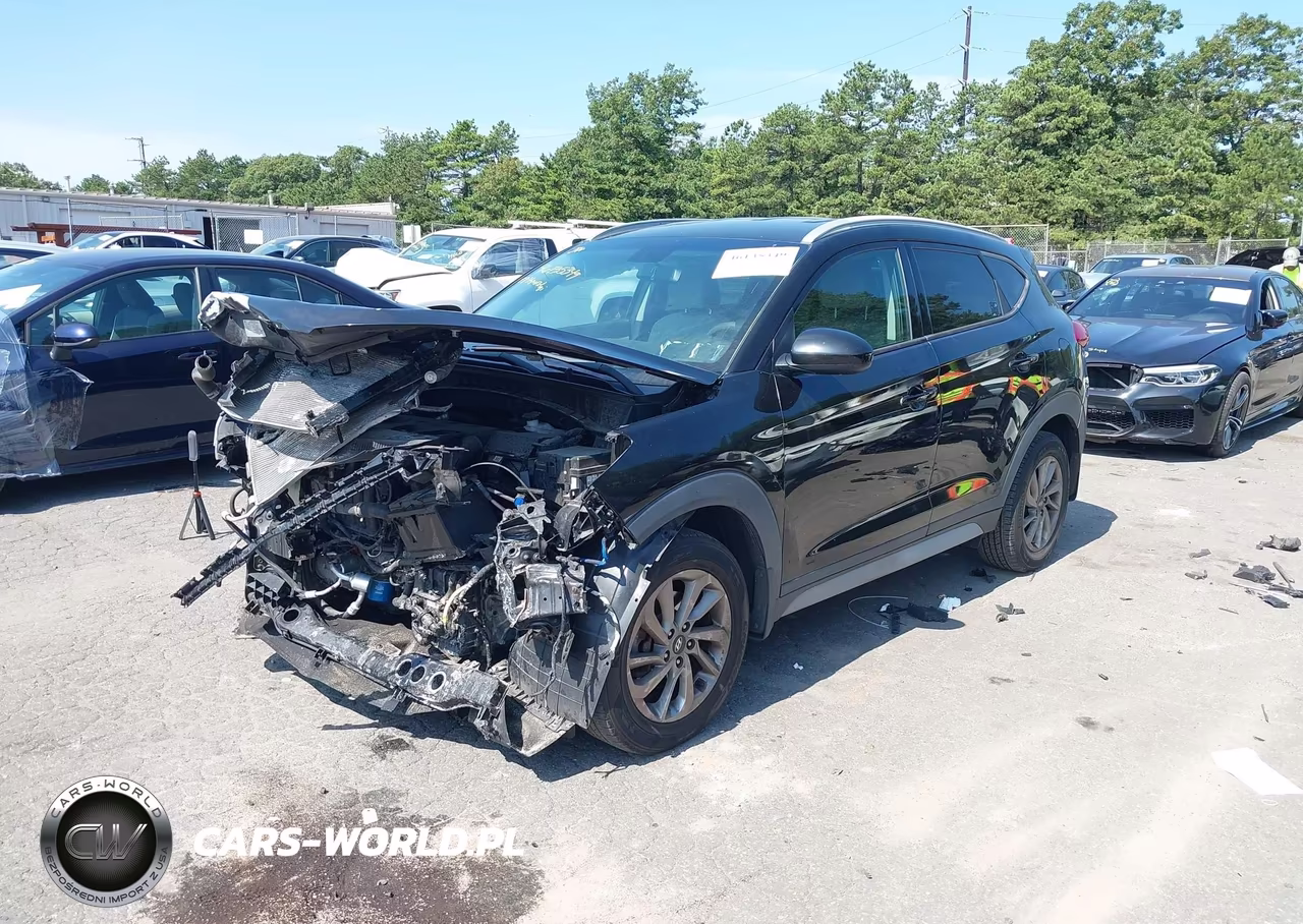 2017 Hyundai Tucson Se VIN:KM8J3CA41HU544702 - 2
