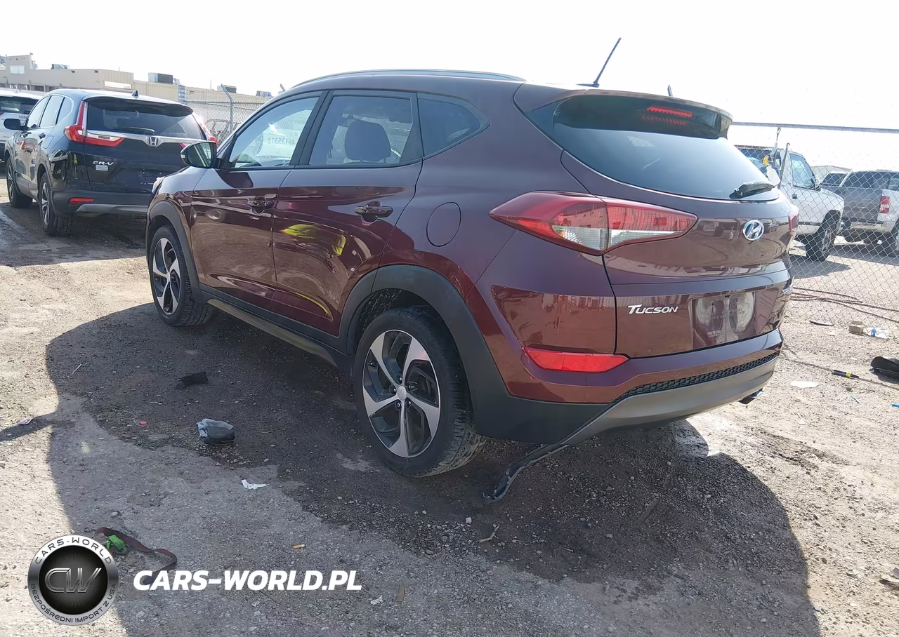 2016 Hyundai Tucson Sport VIN:KM8J33A27GU054584 - 3