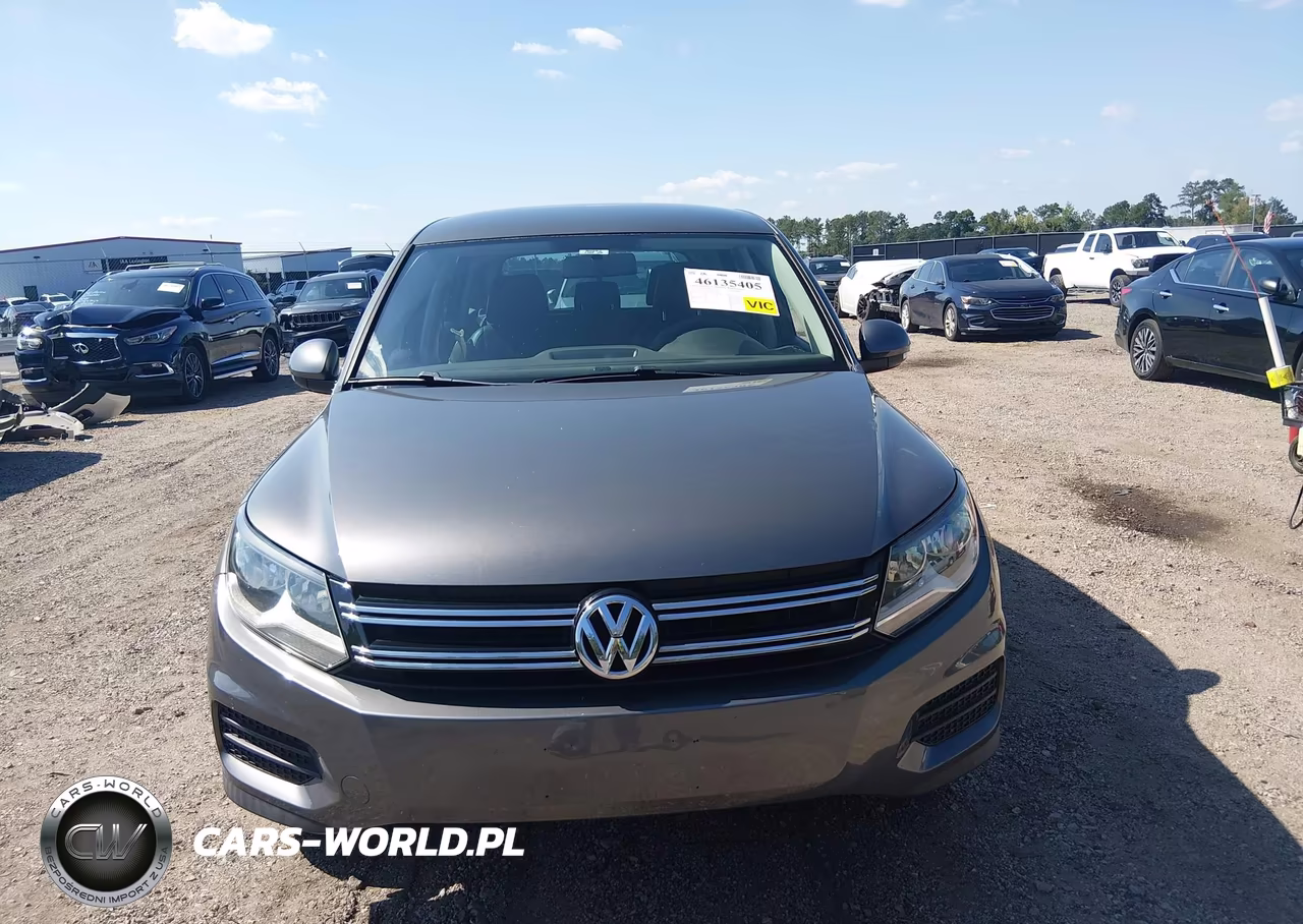 2012 Volkswagen Tiguan Le VIN:WVGAV7AX7CW006210 - 12