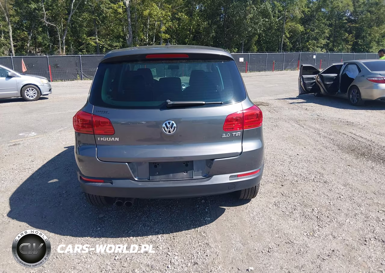 2012 Volkswagen Tiguan Le VIN:WVGAV7AX7CW006210 - 16