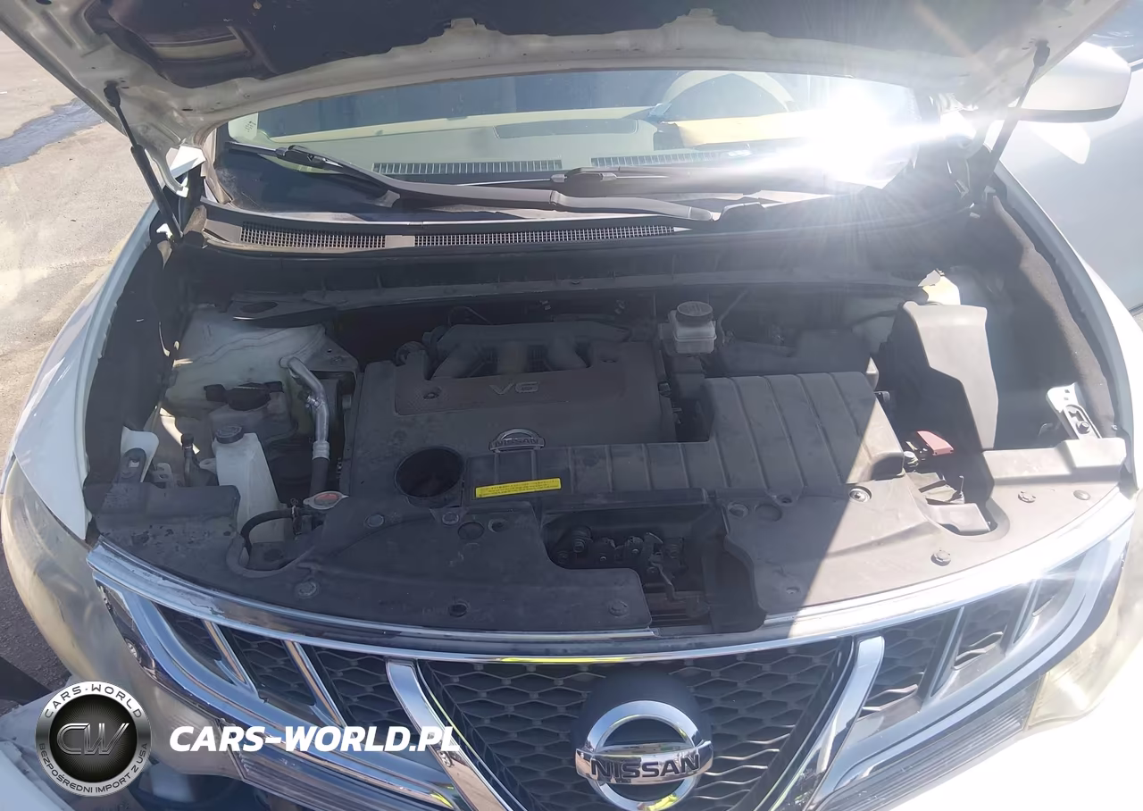 2013 Nissan Murano Sv VIN:JN8AZ1MU2DW204111 - 10