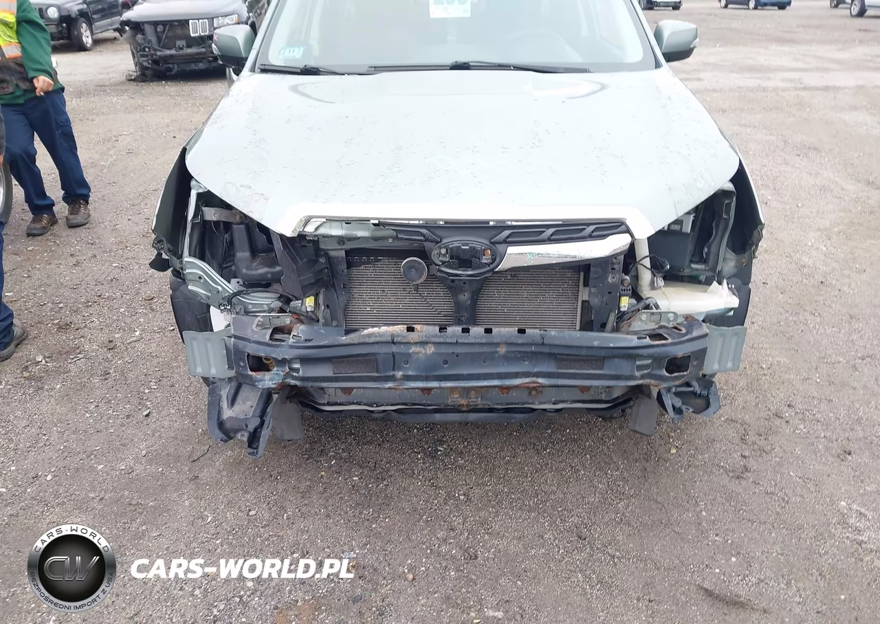 2017 Subaru Forester 2.5I Touring VIN:JF2SJATCXHH444812 - 6